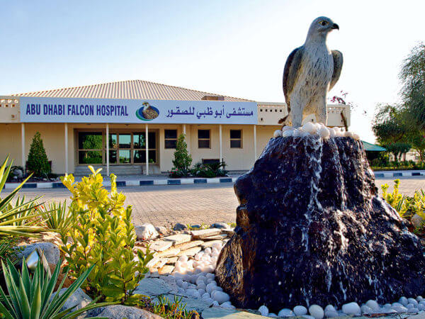 Abu dhabi falcon hospital 1 e1520074481761 2